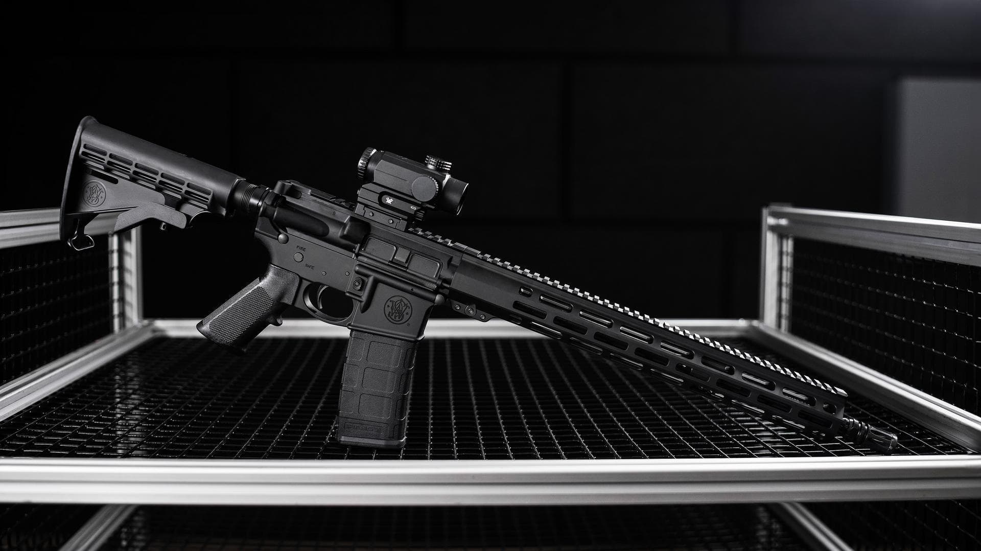 Image for LONG GUN HOLIDAY REBATE